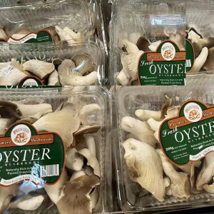 鳳尾菇(200g/盒)  【不計入免運/不計入積分/不參加任何特價活動】